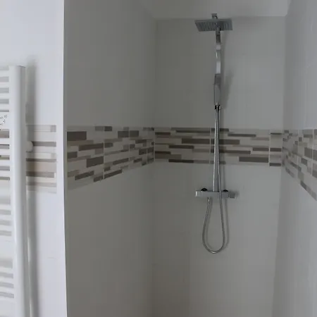 Flore Des Marais Vix (Vendee)