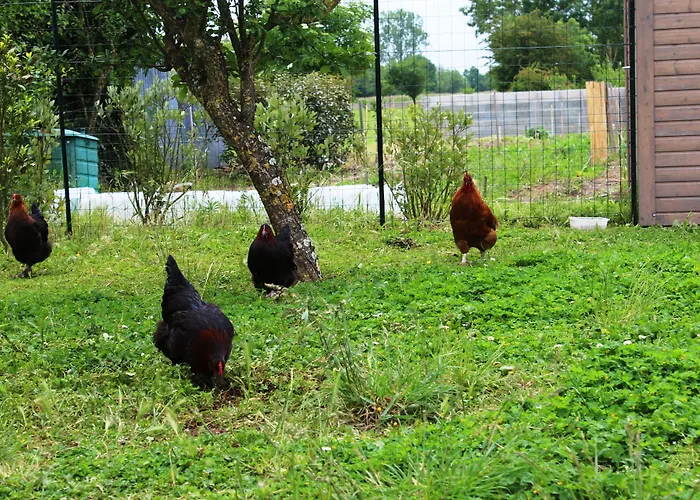 Couette-café Flore Des Marais Vix (Vendee)