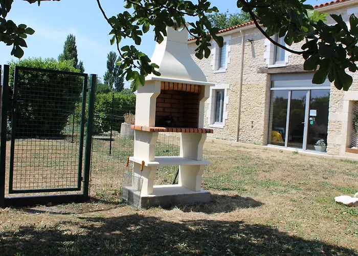 Flore Des Marais Vix (Vendee)